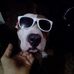 Erik Leal - Facebook