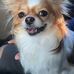 Eric Lu - Facebook