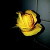 Erik Lukas - @2184908041 - TikTok
