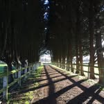 Eric Lumbroso - @eric_lumbroso - Instagram