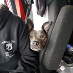 Eric Plummer - @eric.plummer1 - Instagram