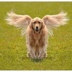 Eric Lund - @eallund - Instagram