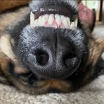 Eric Lundborg - @e.borg13 - Instagram