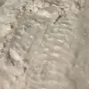 Erik Lundell - @erik.lundell.92 - TikTok