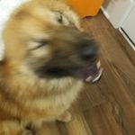 Eric alexander lunger - @ericspeckles - Instagram