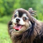 Eric Lunsford - @erlunsford - Instagram