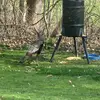 Eric Lipinski305 - @bird_feeder_cam - TikTok