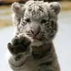 Eric Luria680 - @user5241401435879 - TikTok