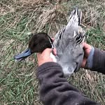 Eric luster - @dead_fowl - Instagram