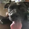 ericaluster178 - @ericaluster178 - TikTok
