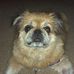 Eric Lutes - Facebook