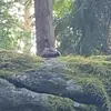 Eric Lövås - @eric.lvs3 - TikTok
