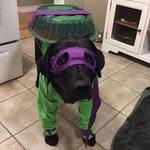 Eric Lyle - @ericlyle64 - Instagram