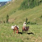 Eric Lyman - @ericlyman - Instagram