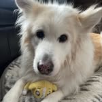 Eric Lynds - @eric_lynds - Instagram
