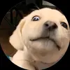 eric.ly8nd - @eric.ly8nd - TikTok