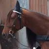 ericmaas7 - @ericmaas7 - TikTok