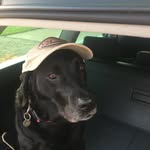 Eric Macdonald - @eric.macdonald51 - Instagram