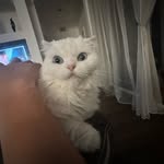 Eric Wilkins MacDonald III - @eric_macdonald_iii - Instagram