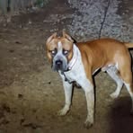 Eric Mack - Facebook