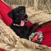 Eric Mackall - @goofin.mack.offixial - TikTok