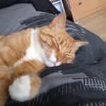 Eric Mackie - @mackie_eric - Instagram