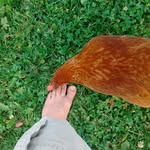 eric macpherson - @ericmacpherson3331 - Instagram