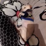 Erick Madariaga - @erick.madariaga.18 - Instagram