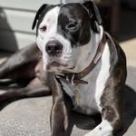 Eric Maggard - @maggarderic - Instagram