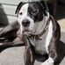 Eric Maggard - Facebook