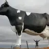 Eric Maggard - @ericmaggard0 - TikTok