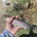 Eric Maggard - Facebook