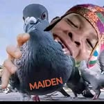 Erik Maiden - @erik.maiden - Instagram