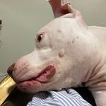 Eric Maier - @ericmaier__ - Instagram