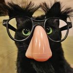 Eric Maier - @wananet2016 - Instagram
