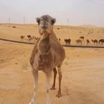 Eric Maillard - @maillard.eric - Instagram