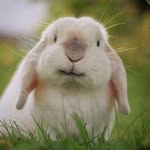 Maillard Eric - @eric_maill - Instagram