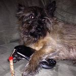 Eric Majewski - @amalgamut00 - Instagram