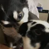 ERIC TAMAKI - @eric.tamaki - TikTok