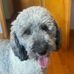 Eric Malo - Facebook