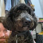 Eric Maloney - @maddogs_creations - Instagram