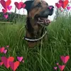 Eric Manceau - @eric.manceau0 - TikTok