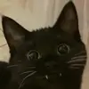 Eric Maniace - @eric.maniace - TikTok