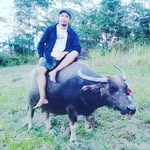 Eric Manos - @ericmanos_negroscountryside - Instagram