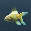 Eric Mao - @eric.mao60 - TikTok