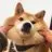 丢了幸福的猪🎹 - @ericmao14 - TikTok