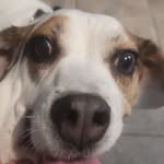 Eric Mariman - @emariman - Instagram