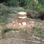 Eric Marry - @eric.marry1960 - Instagram