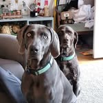 Eric Marschner - @emarschner70 - Instagram