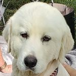 Eric Marshall - @ericmarshall3063 - Instagram